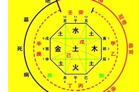 生晨八字|生辰八字算命、五行喜用神查询（免费测算）